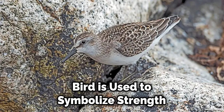 Bird is Used to Symbolize Strength