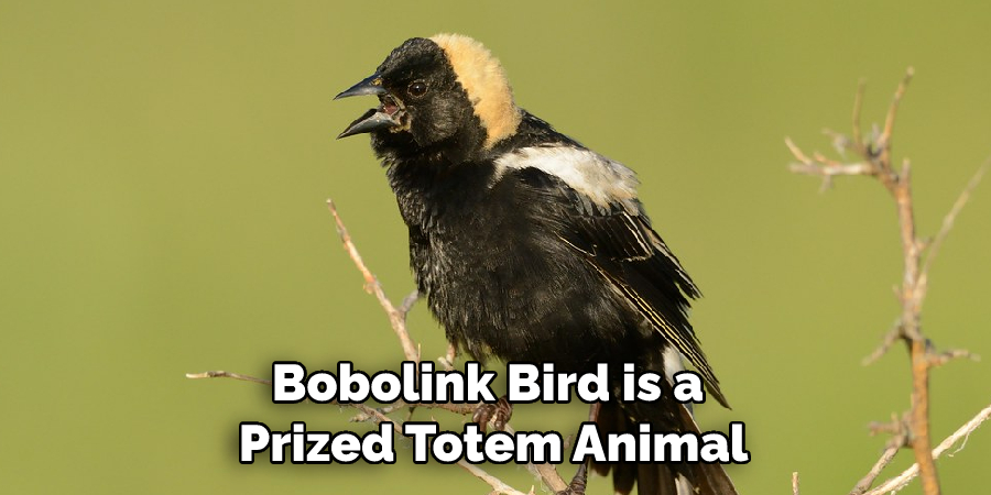Bobolink Bird is a Prized Totem Animal