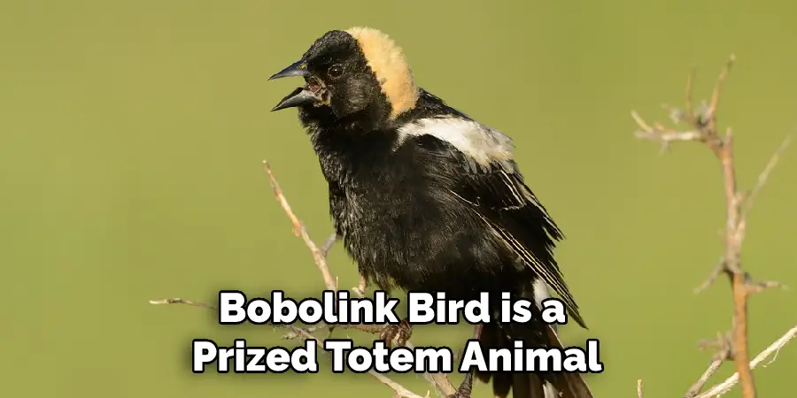 Bobolink Bird is a Prized Totem Animal