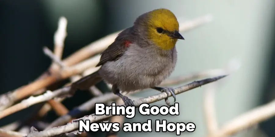 Bring Good News and Hope