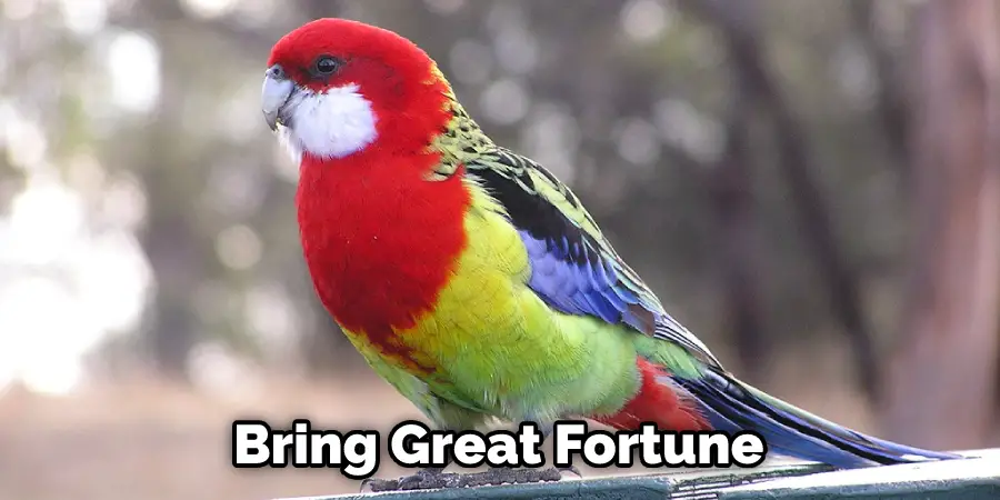 Bring Great Fortune