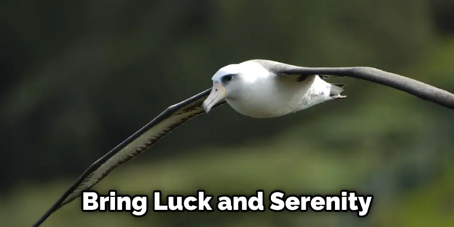 Bring Luck and Serenity