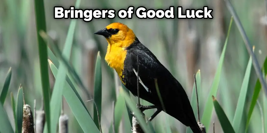 Bringers of Good Luck