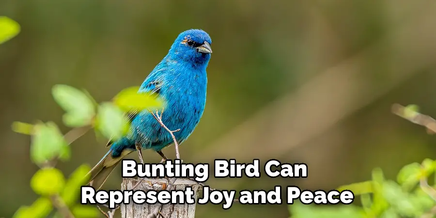 Bunting Bird Can Represent Joy and Peace