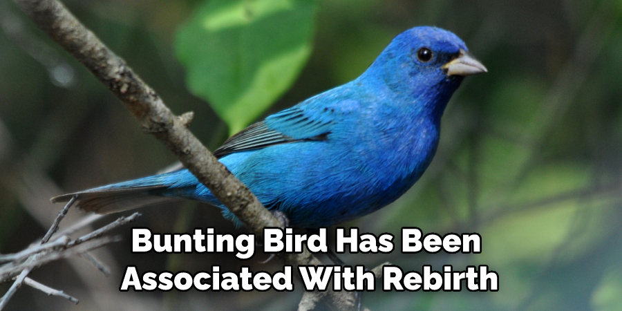 Bunting Bird Has Been Associated With Rebirth