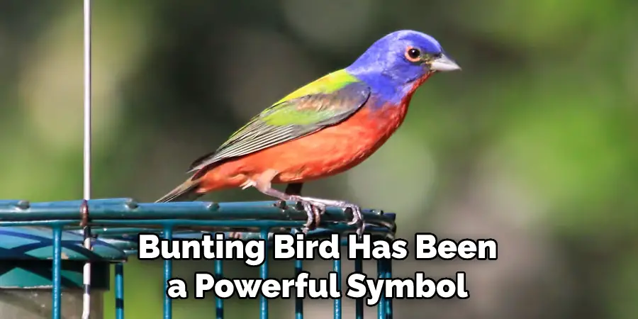 Bunting Bird Has Been a Powerful Symbol