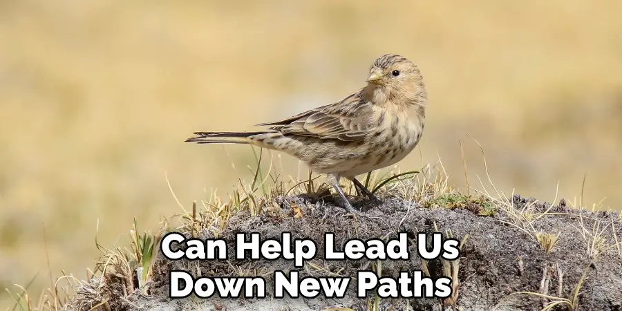 Can Help Lead Us Down New Paths