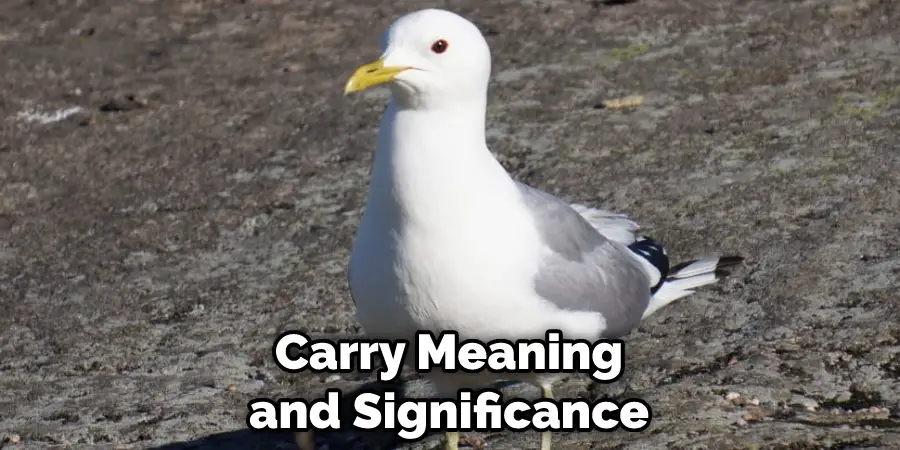 Carry Meaning and Significance