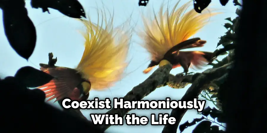 Coexist Harmoniously With the Life