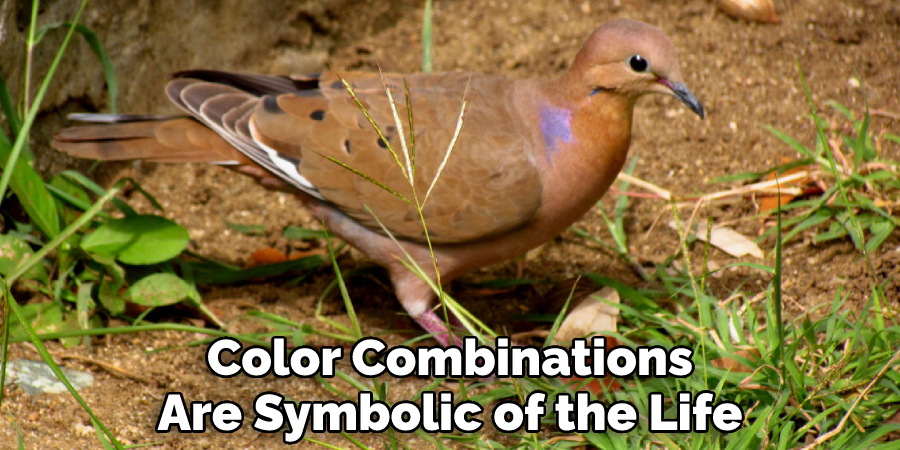 Color Combinations Are Symbolic of the Life