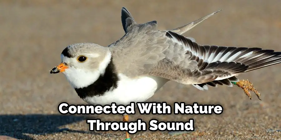 Connected With Nature Through Sound