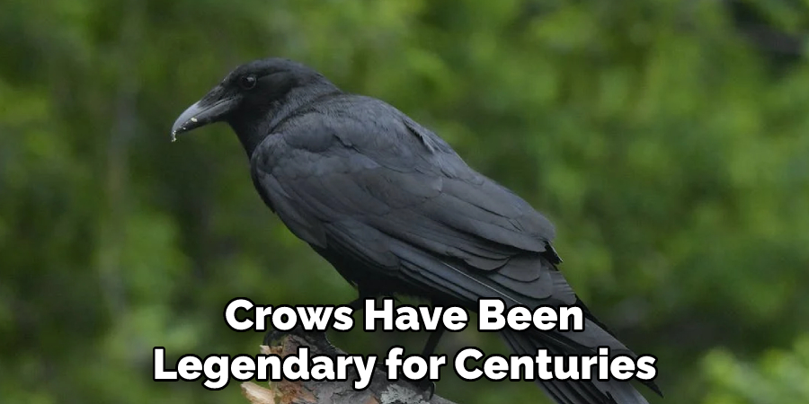 Crows Have Been Legendary for Centuries