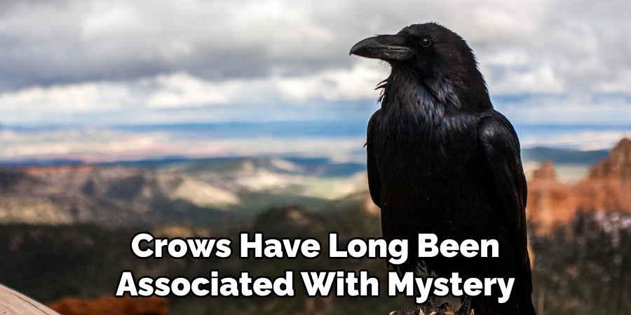 Crows Have Long Been Associated With Mystery
