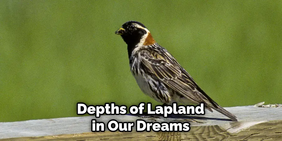 Depths of Lapland in Our Dreams