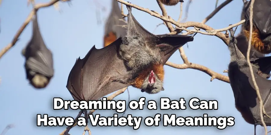 Dreaming of a Bat Can Have a Variety of Meanings
