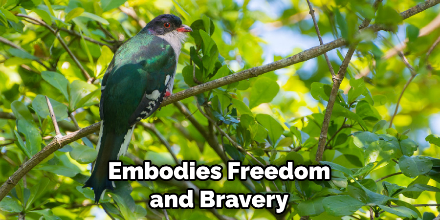 Embodies Freedom and Bravery
