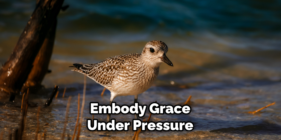 Embody Grace Under Pressure
