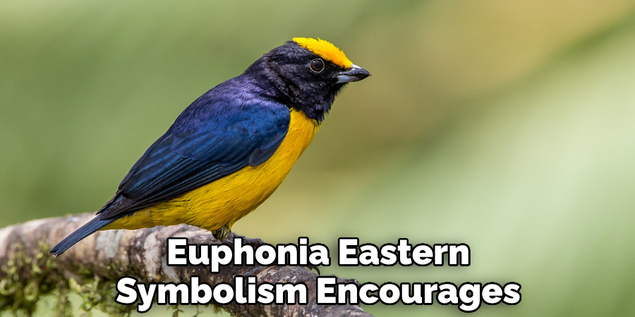 Euphonia Eastern Symbolism Encourages