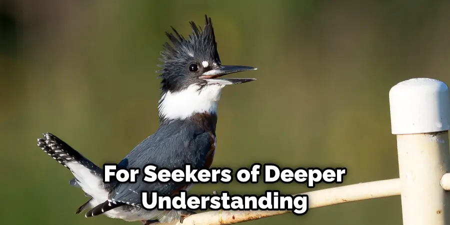 For Seekers of Deeper Understanding