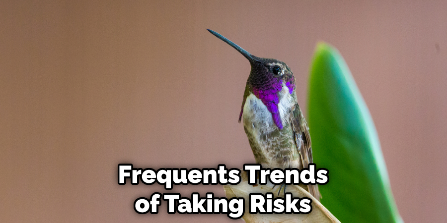 Frequents Trends of Taking Risks