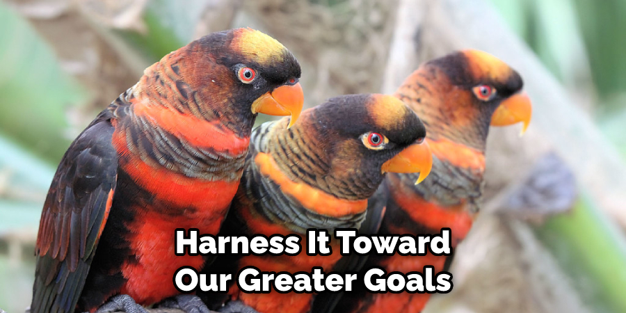 Harness It Toward Our Greater Goals