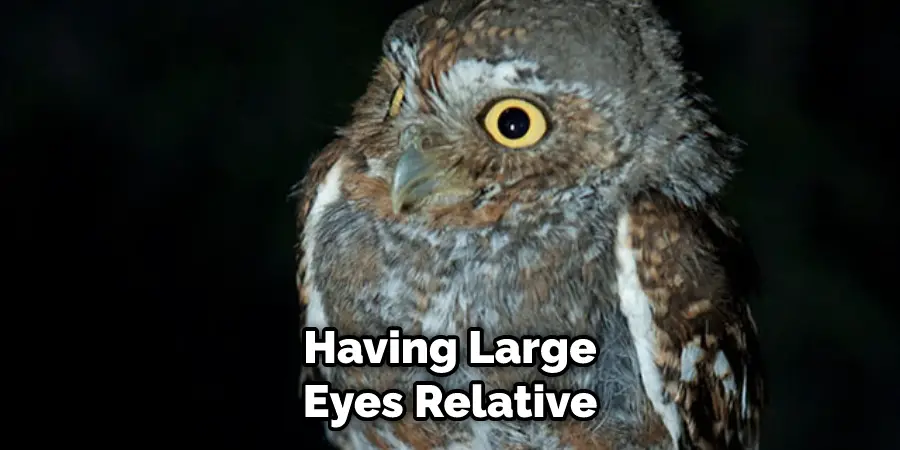 Having Large Eyes Relative