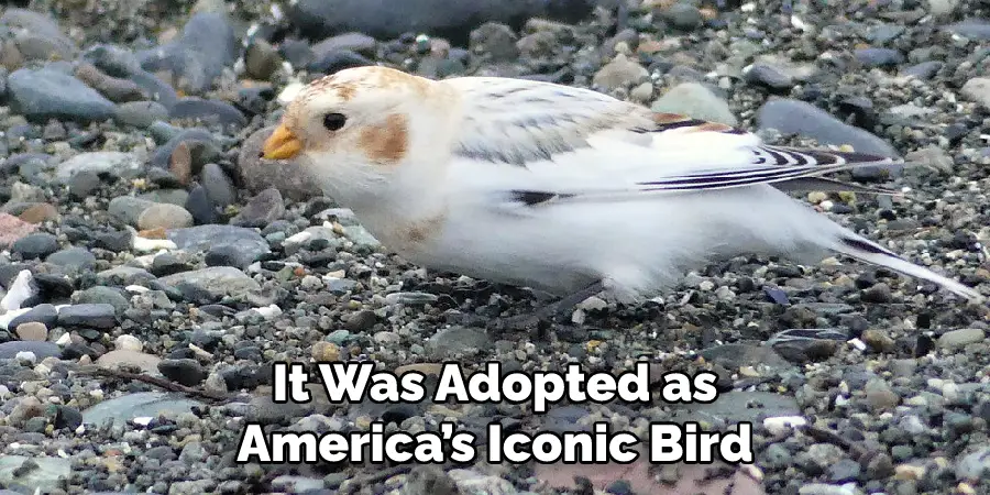  It Was Adopted as America’s Iconic Bird