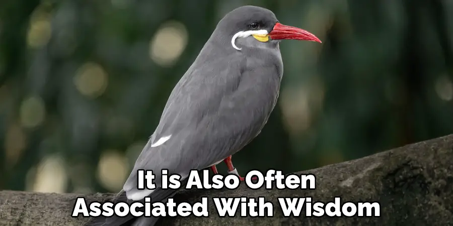 It is Also Often Associated With Wisdom