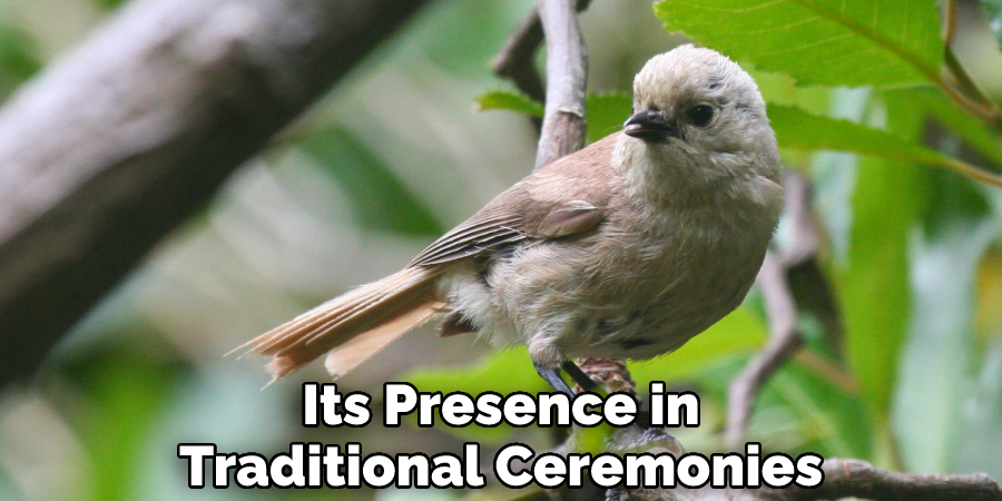 Its Presence in Traditional Ceremonies