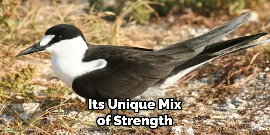 Its Unique Mix of Strength