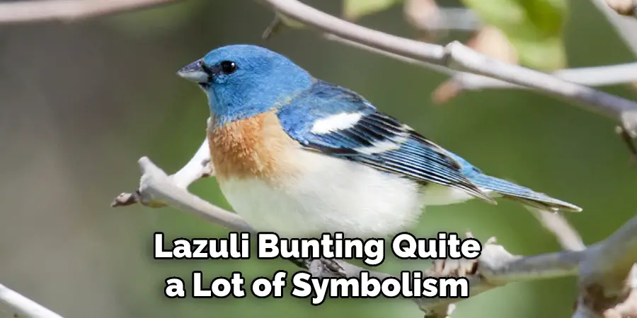 Lazuli Bunting Quite a Lot of Symbolism