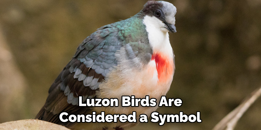 Luzon Birds Are Considered a Symbol