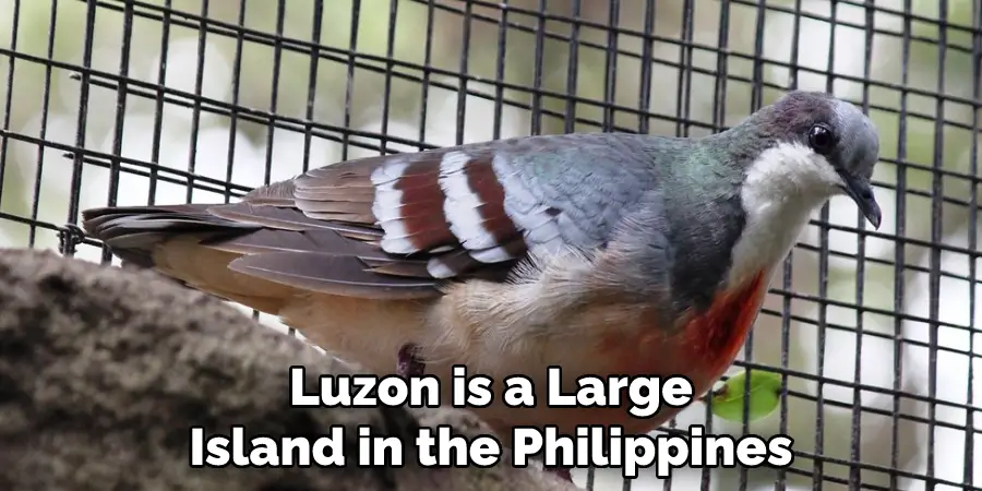Luzon is a Large Island in the Philippines