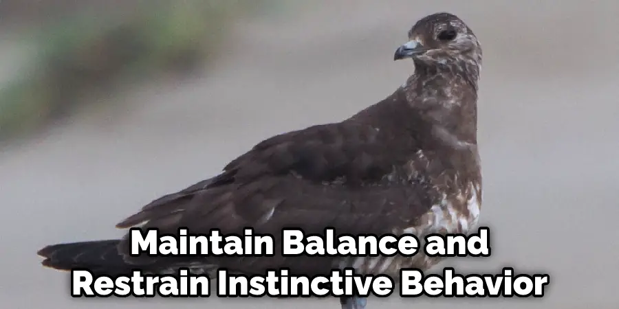 Maintain Balance and Restrain Instinctive Behavior