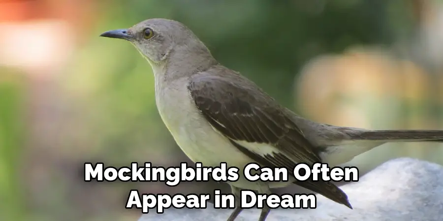 Mockingbirds Can Often Appear in Dream