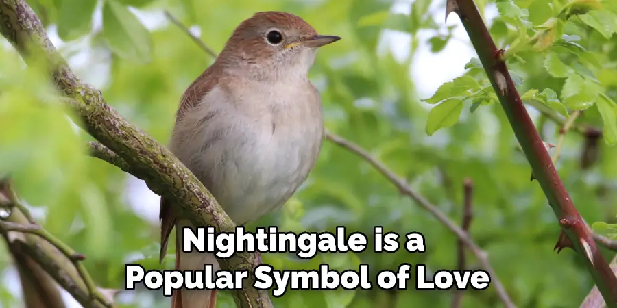 Nightingale is a Popular Symbol of Love