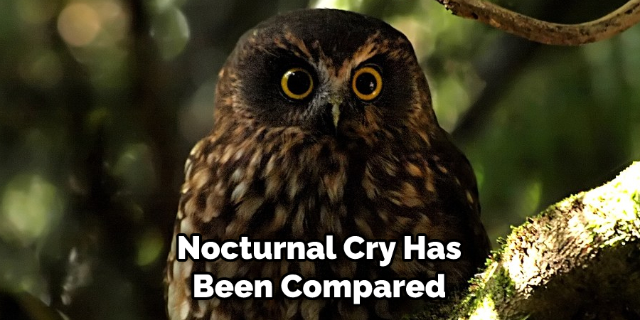 Nocturnal Cry Has Been Compared