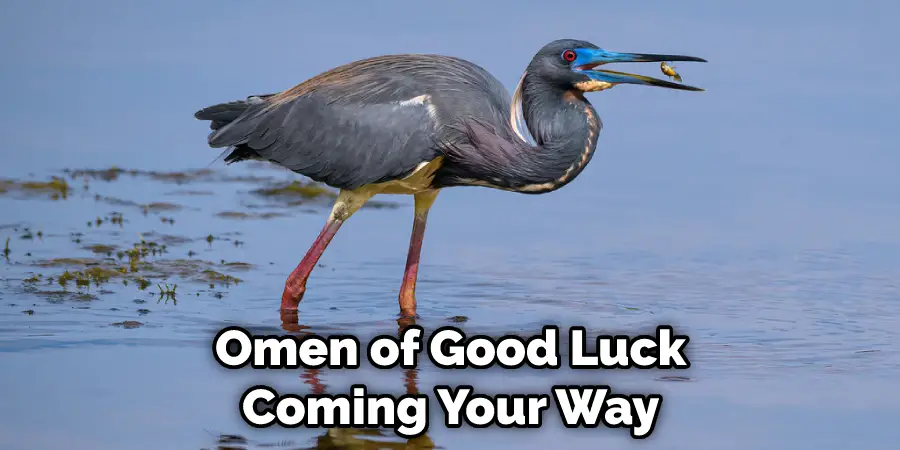 Omen of Good Luck Coming Your Way