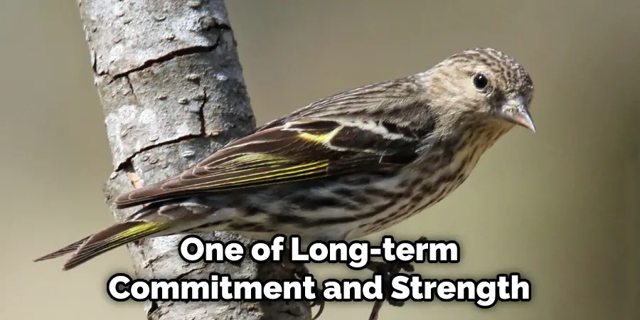 One of Long-term Commitment and Strength