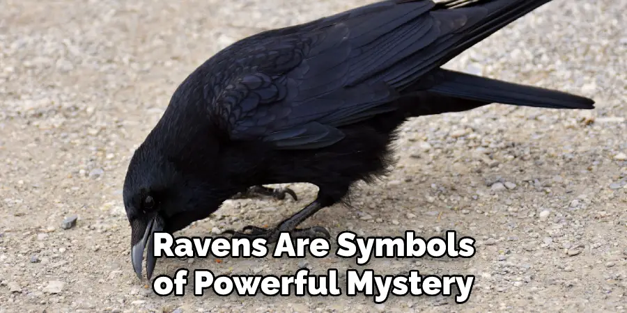 Ravens Are Symbols of Powerful Mystery