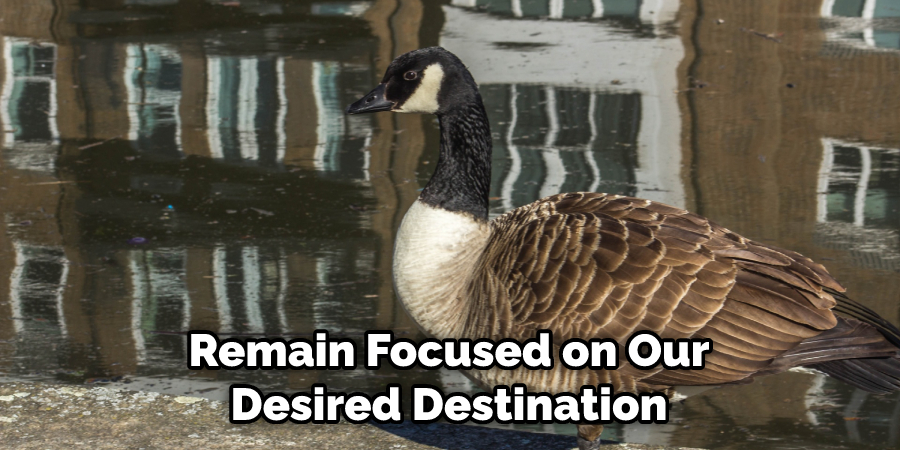 Remain Focused on Our Desired Destination