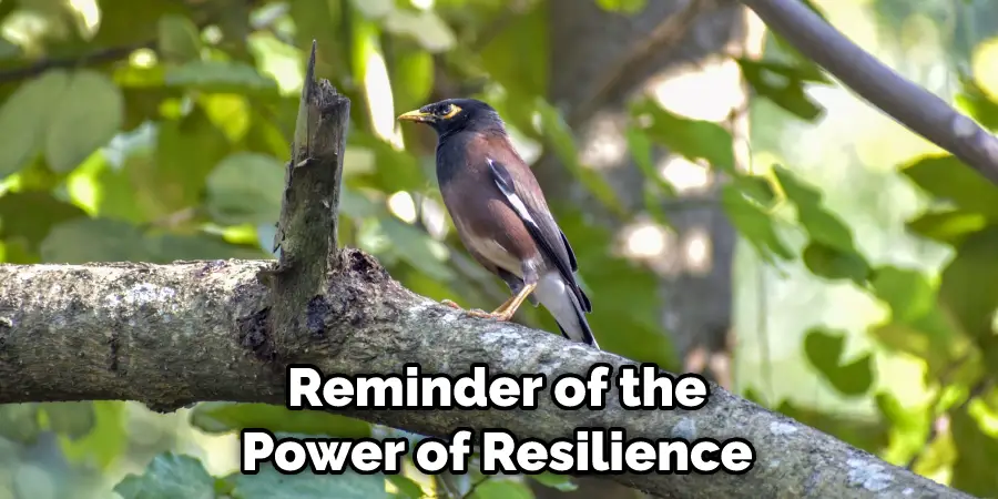 Reminder of the Power of Resilience