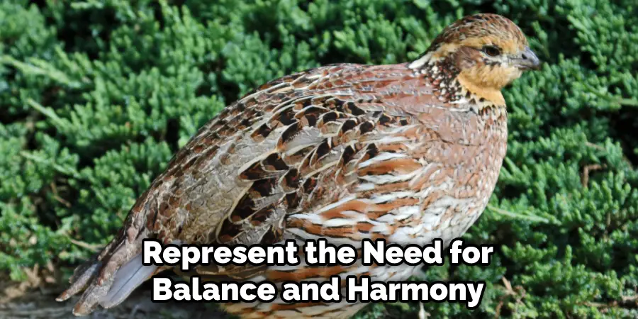 Represent the Need for Balance and Harmony