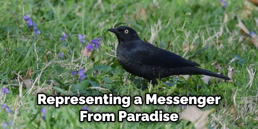 Representing a Messenger From Paradise