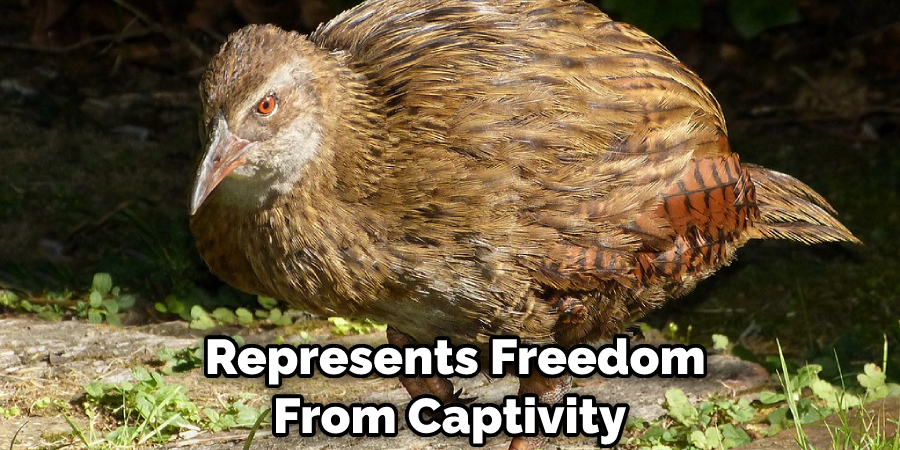  Represents Freedom From Captivity