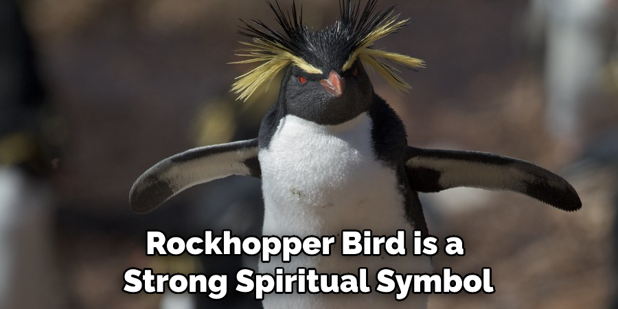 Rockhopper Bird is a Strong Spiritual Symbol