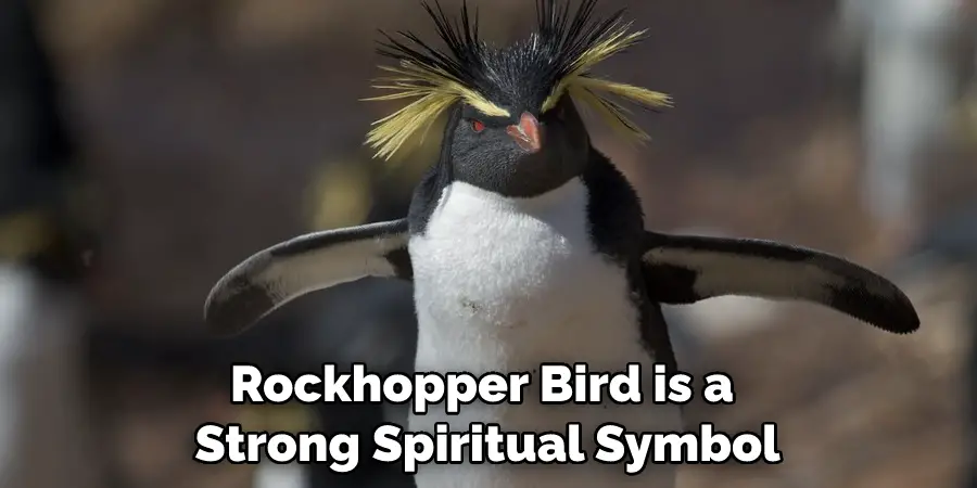 Rockhopper Bird is a Strong Spiritual Symbol