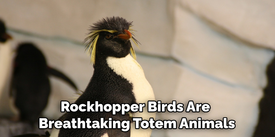 Rockhopper Birds Are Breathtaking Totem Animals