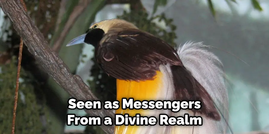 Seen as Messengers From a Divine Realm