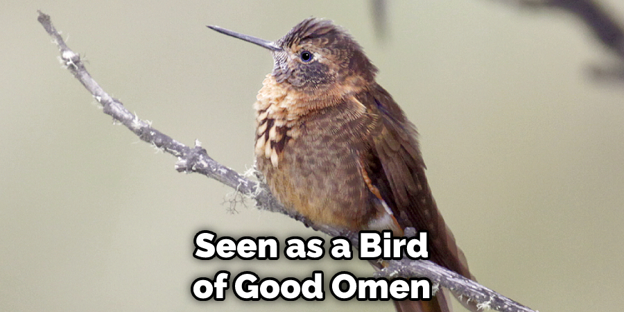 Seen as a Bird of Good Omen